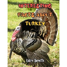 Interesting Facts about Turkey: TURKEY fact for girl age 1-10 TURKEY fact for boy age 1-10 facts abo... Paperback, Independently Published, English, 9798556971868