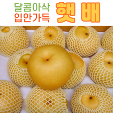 배성환