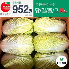  해돋이농산 알배기배추 알배추 쌈배추 6통 12통 6개