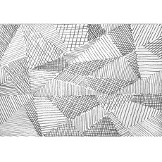 34b16c8dc6571fa42895eab1dbf4fb88e54a8b03447d11fc211bf59a343d.jpg