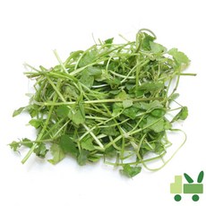 사라상회 미나리 8kg (보통), 1개
