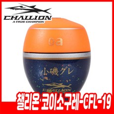 ik폼프로2구찌