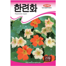 경신종묘 꽃씨앗 한련화 20립