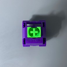 ttc홀리판다
