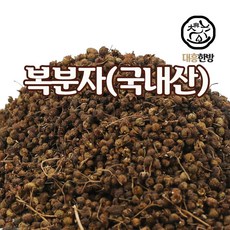 백운팜복분자