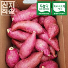 해남달망고구마