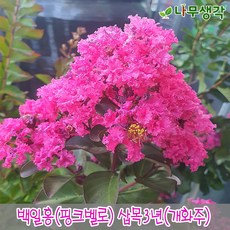 44ec2d3deac12c643f6ba9f105145d94fae91d1871393175c8a1de7e1e4c.jpg