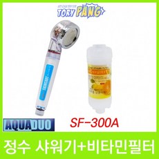 스킨케어 정수샤워기 SF-300A 비타민필터 세트, 크롬 레몬향