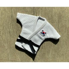 팀코리아 등판에 이름을 새겨 드립니다 미니도복 미니 유도복 백색 자체제작