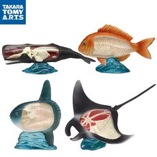 백과사전애니메이션