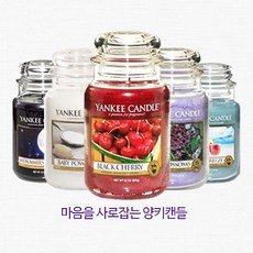 양키캔들1+1
