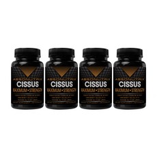 이나영시서스알약