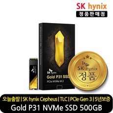 SK하이닉스 GOLD P31 NVMe SSD, HFS500GDE9X0733, 500GB