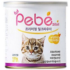 새끼고양이이유식