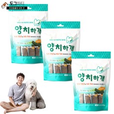 양치하개 덴탈케어 스케일링 유산균 14p 24p 강아지 양치 덴탈껌, 3개, 덴탈케어 14p (210g) - 양치하개