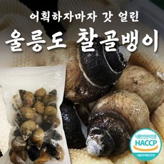 울릉도 자연산 자숙 골뱅이, 통 골뱅이 1kg x 1팩
