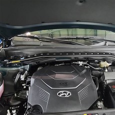 베라크루즈스트럿바