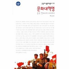 문화대혁명중국현대사의트라우마