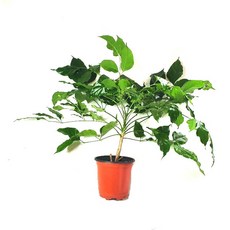 ce101e1a334ccbdc51ba2802de66468ba3ad47a3a84a93f10675e8799907.jpg