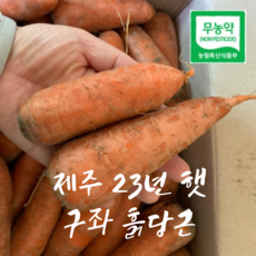 제주 무농약 햇 당근 달큰한 흙당근 3kg 5kg, 무농약 제주햇당근5kg(쥬스용못난이), 1개