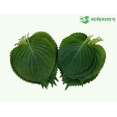 야채이야기 깻잎 500g, 1개