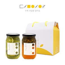 수제청 담아요 수제 핸드메이드 과일청 수제청 선물포장 포함 답례품 명절선물 세트, 1세트, (2구포장)청귤청540g+백향과청540g