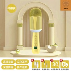 카카오노래방마이크