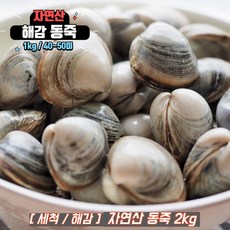 자연산 해감 동죽 동죽조개 물총조개 조개탕, 2kg, 1개