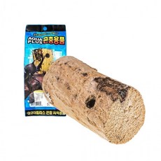  [10개] 사슴벌레 곤충 참나무 산란목 사육통 놀이목 학습 곤충사육, 상세페이지 참조 