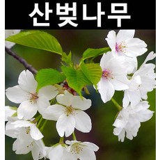 dfe9ebbb7e94a00c535fd36284a3c507c9280462682d4d91d997d530920a.jpg