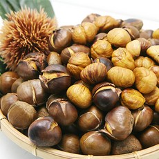 오프라이스알단밤