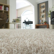 베를린샤기카페트