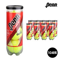 헤드 PENN COACH 코치 테니스 캔볼 (3개입) X 10세트