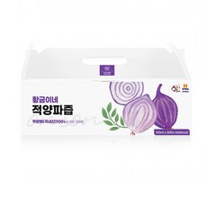 햇살담은빨간양파즙