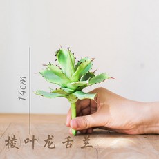 3dba3e1fe8a2b9efcde265c6423d3ce4a029531707ef47e06db030b6c7d1.jpg