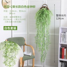 베란다 벽면 녹색 식물 사물 레스토랑 독창적 장신구 장식품 화초 벽장식, 화이바 -롱 김종류  화이바 -롱 김