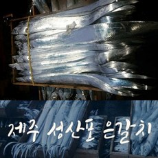 춘심이네갈치