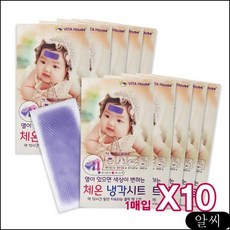 MS 발열 쿨팩 체온 쿨링패치 쿨 시트 1매입x10개 쿨링시트 냉각