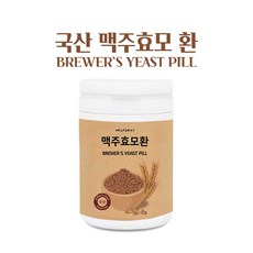 맥세스컨설팅