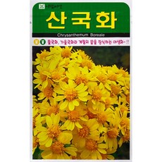 대전꽃원데이클라스