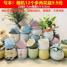 도자기화분 베란다 화단꾸미기 가든 14, 5. 색상 분류: 즙이 많은 화분 무작위 12 개, 크기: 큰