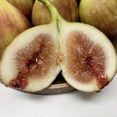 유라잇 영암 무화과 당일수확 산지직송 1kg 2kg, 1개