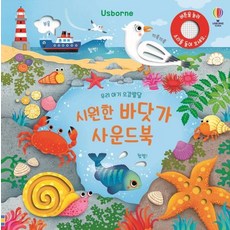 Usborne 우리 아기 오감발달 시원한 바닷가 사운드북, 어스본코리아, 샘 태플린 글/페데리카 아이오사 그림