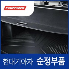 디올뉴 투싼NX4 순정 러기지 스크린(카고 트렁크) (N9859AP000NNB) 투싼 디올뉴 NX4/디올뉴 NX4 하이브리드, 1개