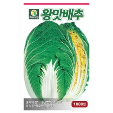 ho_1000