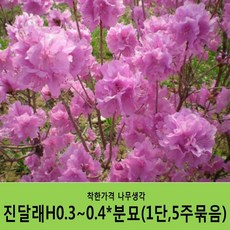 cf061baa2a78ed1352d1894f36ffb6a3188e97f597a1eecba654c30a301f.JPG