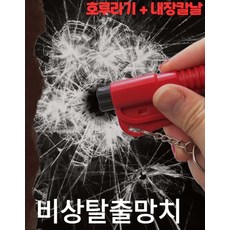 전기차탈출