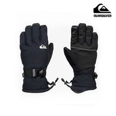 퀵실버아동스키