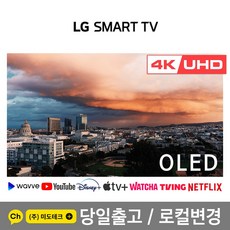 48인치oled