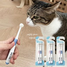 페스룸고양이칫솔